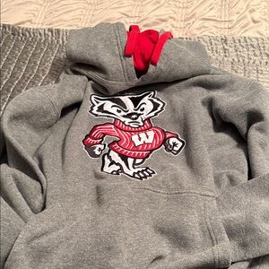 Men's Gray and Red Badger Sweater